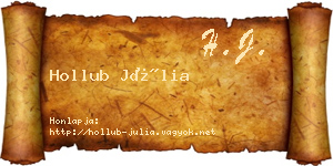 Hollub Júlia névjegykártya
